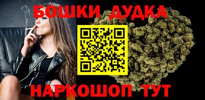 крисы Обь