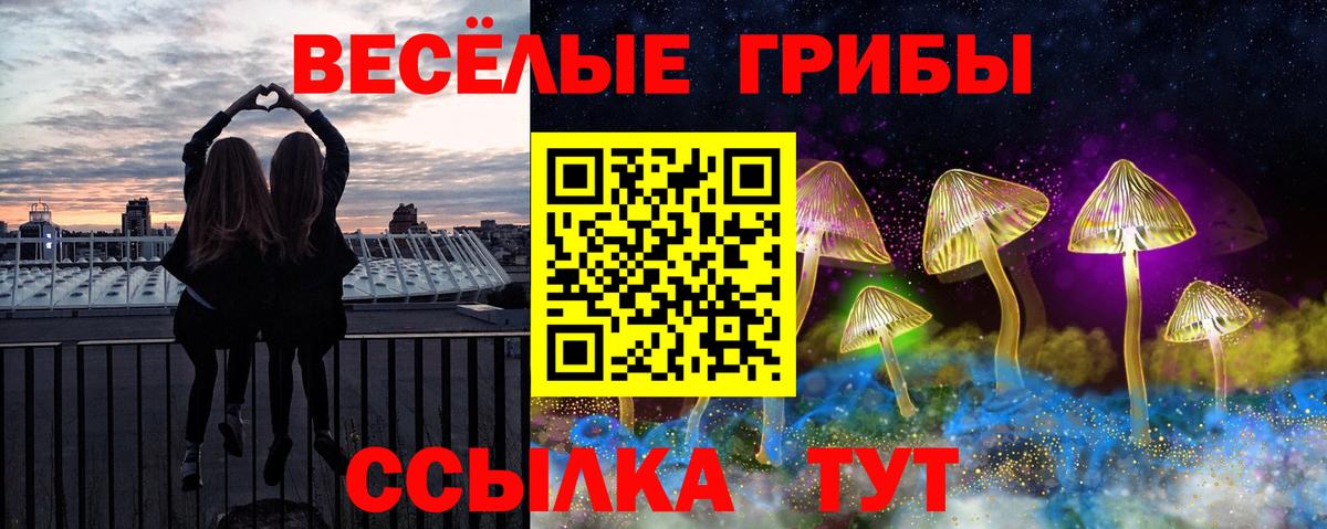 Георгиевск  Галлюциногенные грибы мухоморы  Вход с VPN 