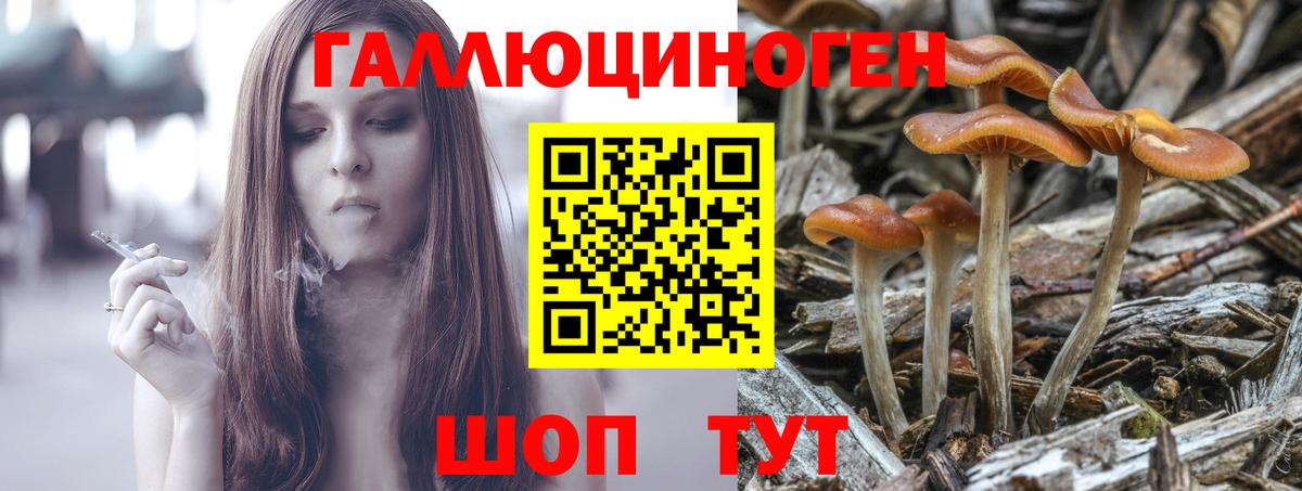Псилоцибиновые грибы прущие грибы Георгиевск